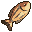 Beige Snapper