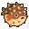 Pufferfish