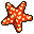 Starfish