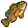 Tiger Trout